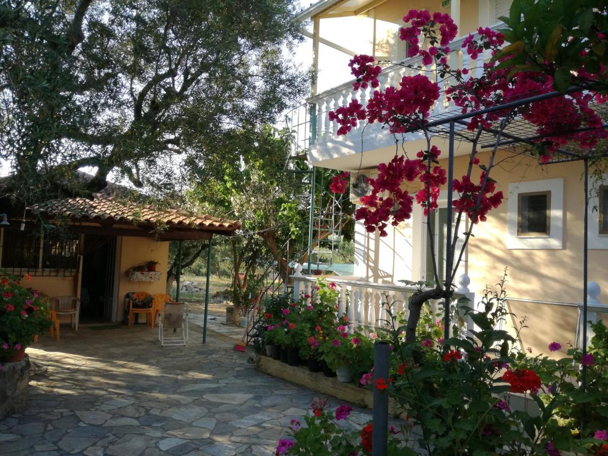 Апарт отель Casa Dyonisia Tsilivi Планос Экстерьер фото
