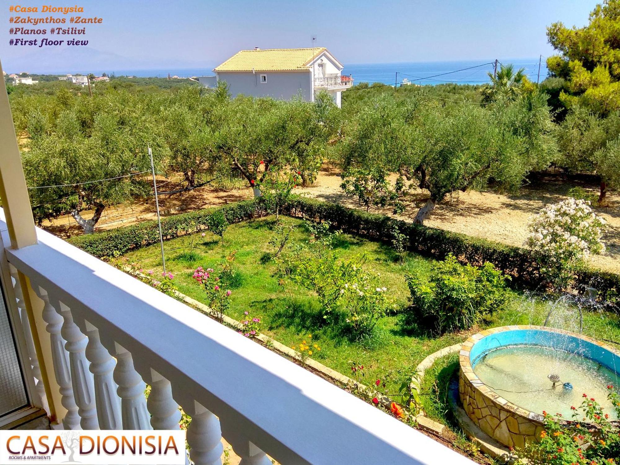 Апарт отель Casa Dyonisia Tsilivi Планос Экстерьер фото